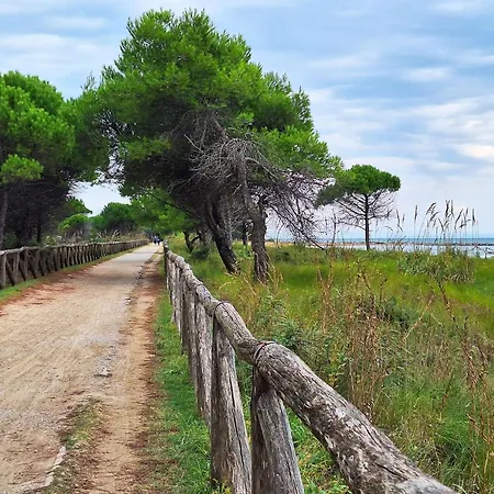 Apartamento Three-room Bright Flat 150m From The Sea *